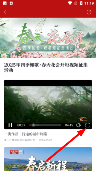 中国视听