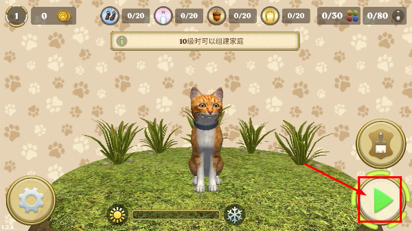小猫的一生