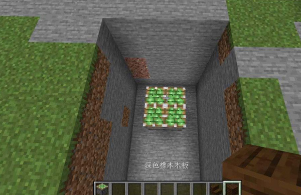 com.mojang.minecraftpe(Minecraft)