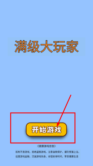 满级大玩家