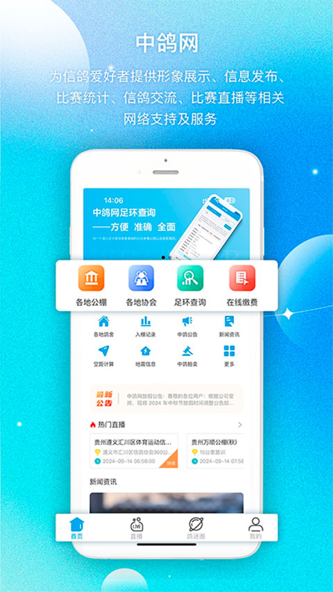 中鸽网直播app下载
