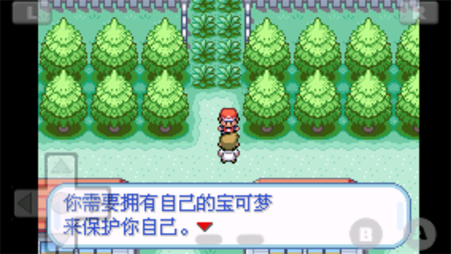 口袋妖怪火红