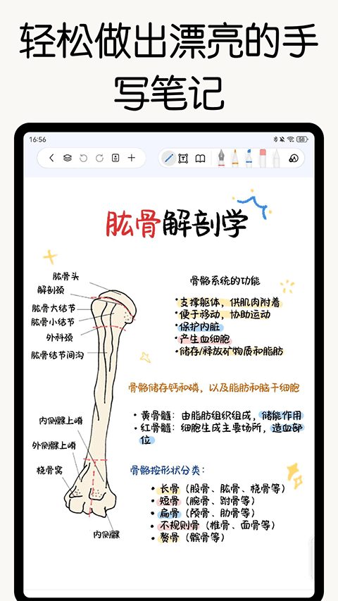 自由笔记正版