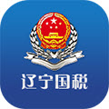 辽宁国税办税通客户端下载