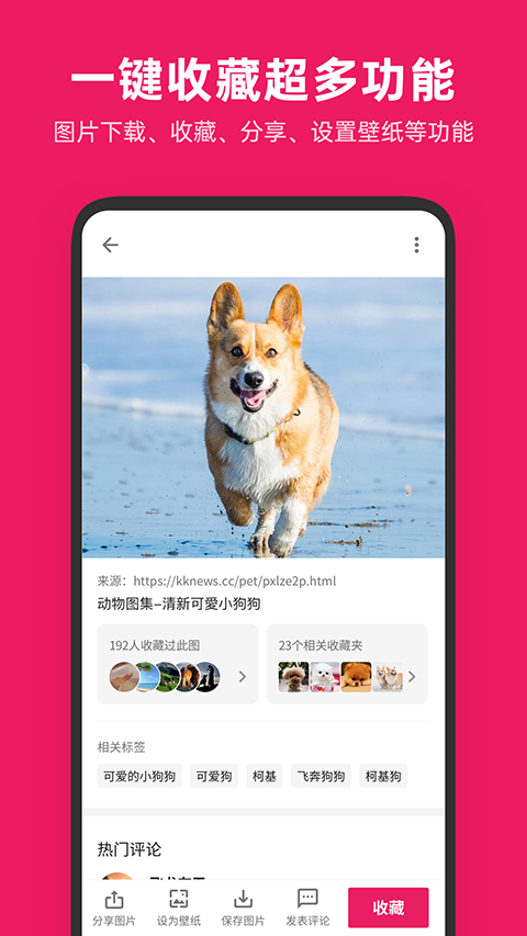 图片搜搜2026版
