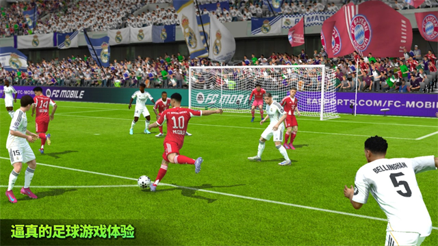FIFA12