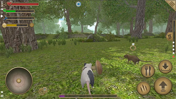 老鼠模拟器