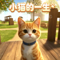 小猫的一生