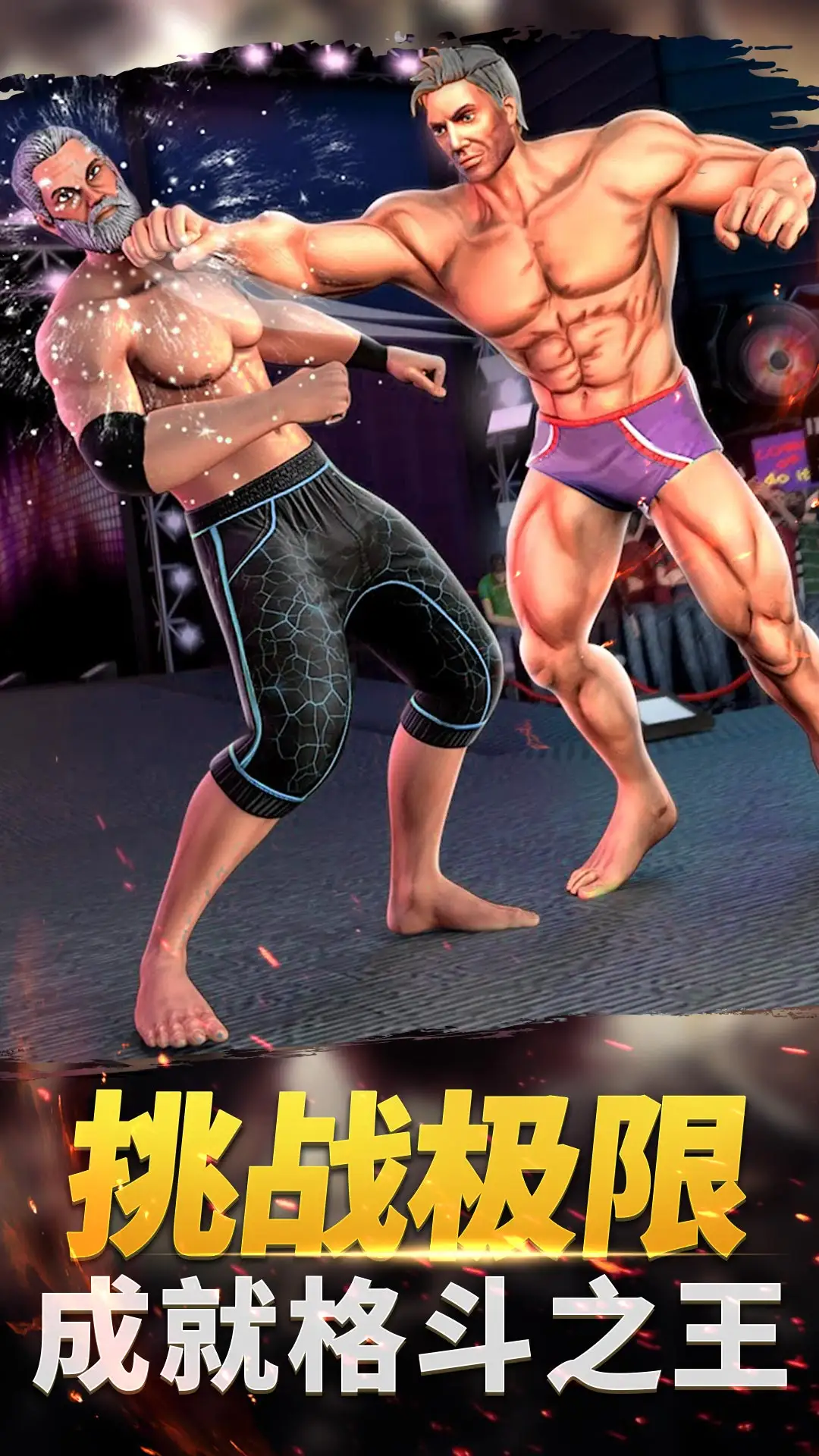 功夫格斗大师单机版