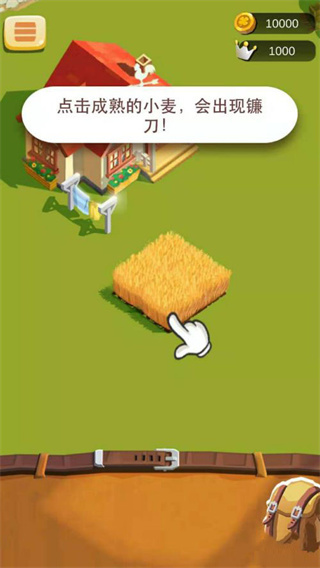 Farm Land