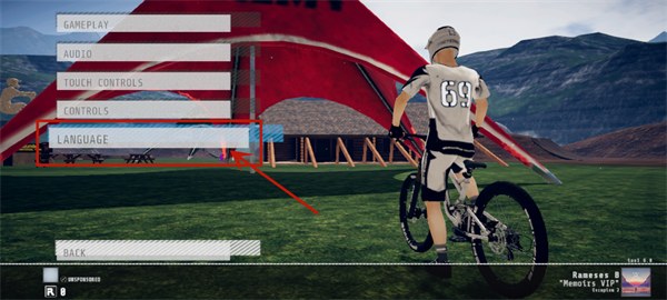 Descenders