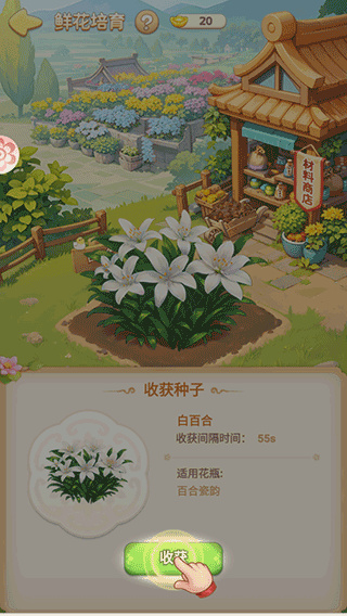 我的花园世界