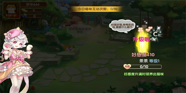花样猫咪下载