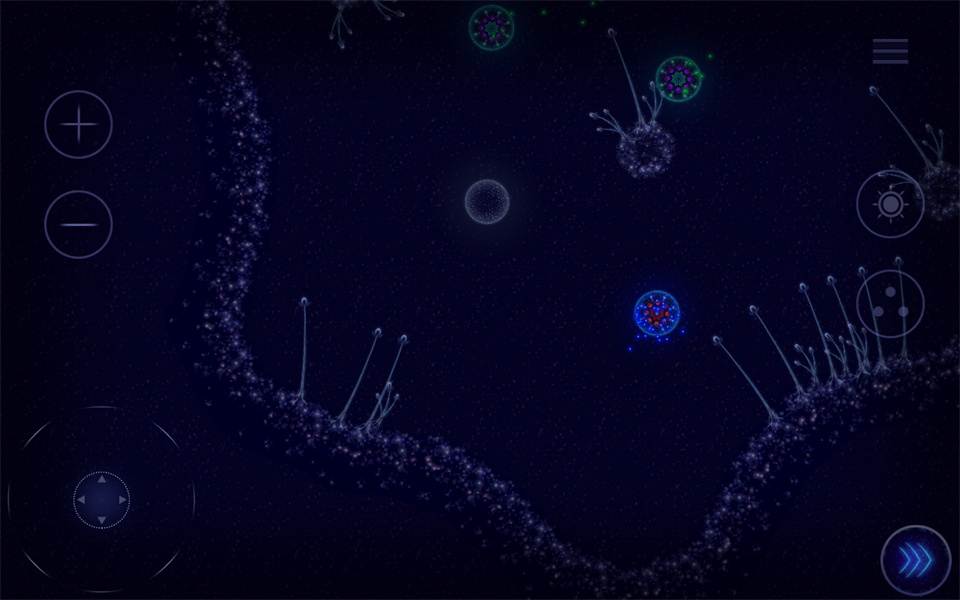 Microcosmum