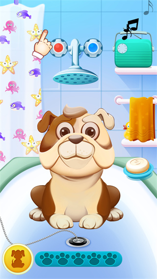 Animal Care