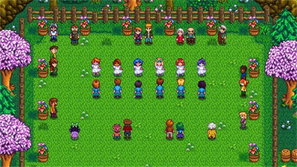 stardew valley手机版