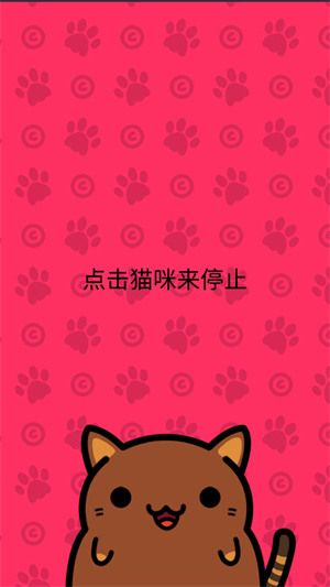 小偷猫
