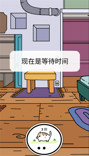 小偷猫