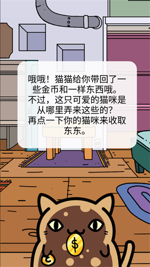 小偷猫