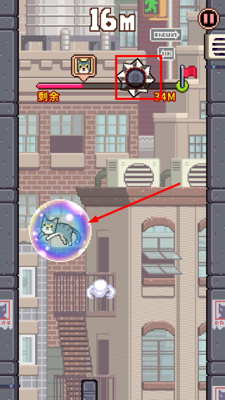 猫跳无限金币钻石版