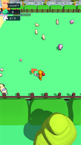 My Pet Shop