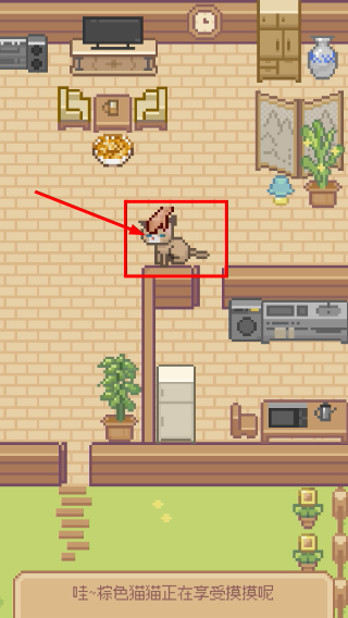 Miao屋
