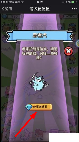 萌犬便便便