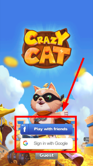 CrazyCat