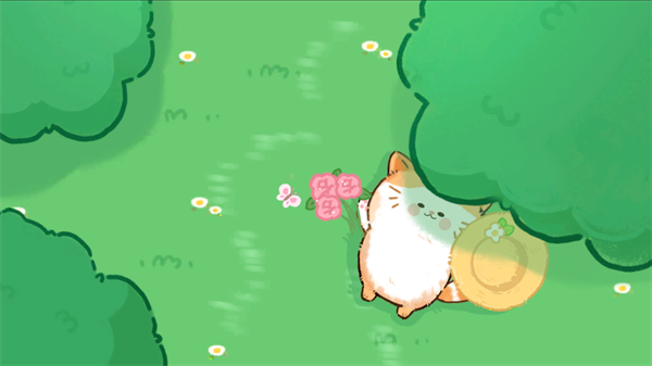 猫咪疗愈所