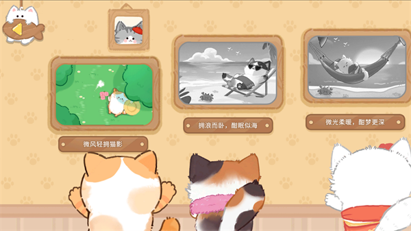 猫咪疗愈所