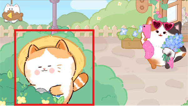 猫咪疗愈所