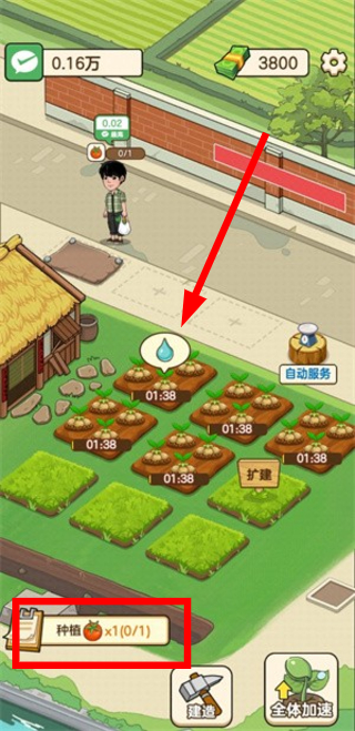 开心农场主