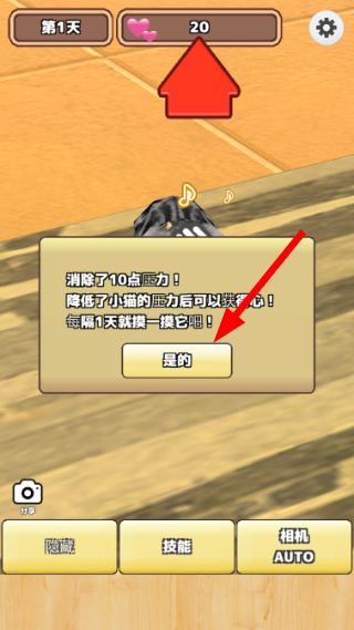 3D猫咪养成
