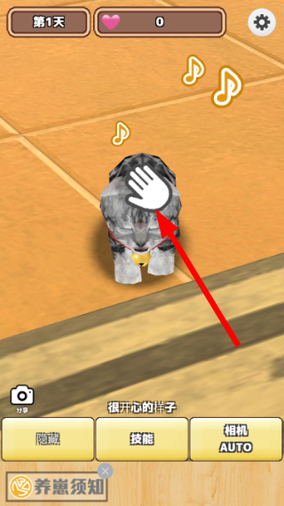 3D猫咪养成