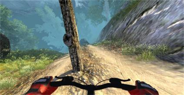 MTB DownHill