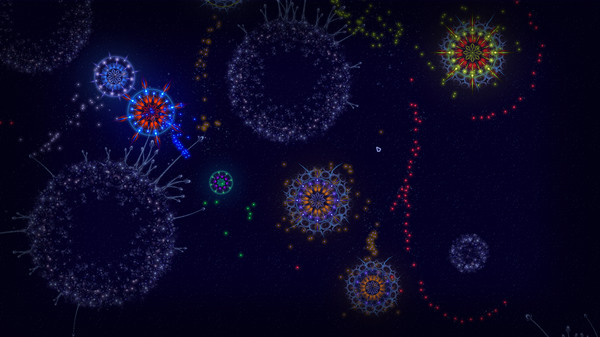 Microcosmum