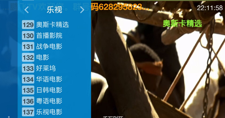 鹏飞TV世纪官方最新版app电视软件下载