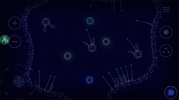 Microcosmum
