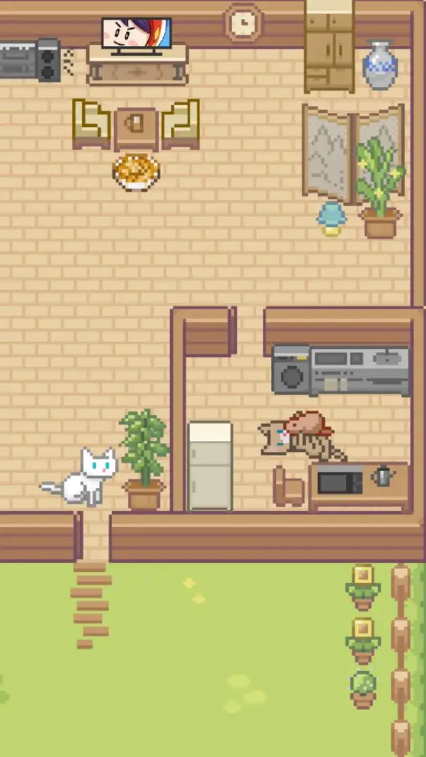 Miao屋
