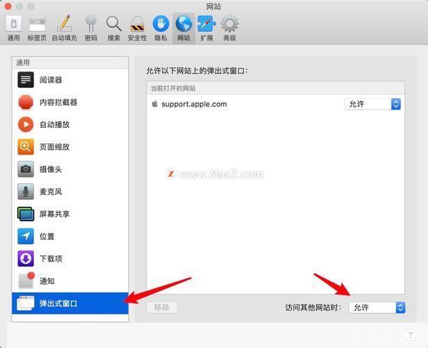 如何使用浏览器：一份详细的指南