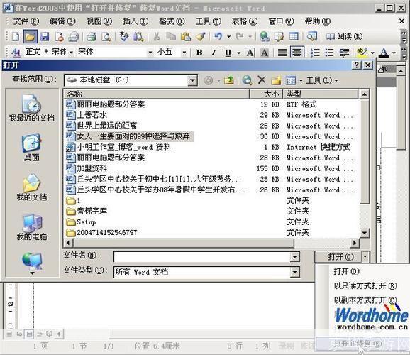 Word 2003免费完整版：强大的文档处理工具