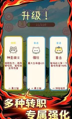 猫猫队冲鸭