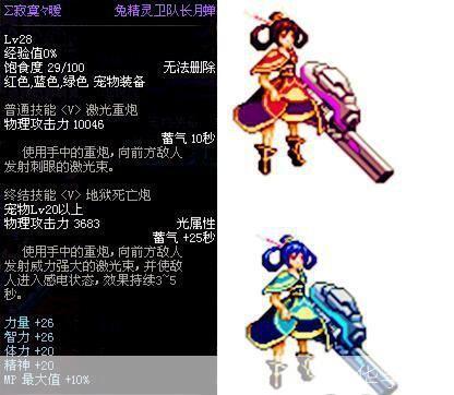 DNF宠物大揭秘：战斗伙伴与实力增强的神秘力量