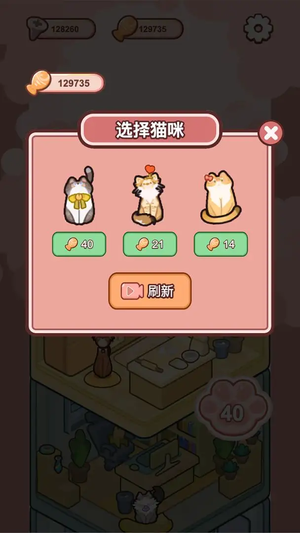 萌猫养成记