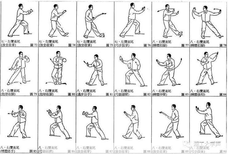 太极拳24式视频怎么安装: 如何安装太极拳24式视频教程