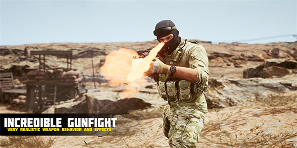 沙漠风暴行动(Desert Storm Operation)
