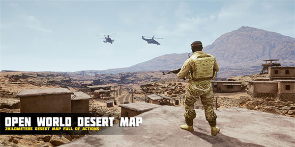 沙漠风暴行动(Desert Storm Operation)