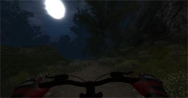 MTB DownHill