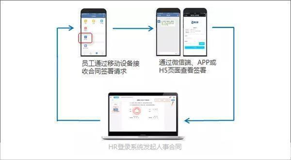 泛微oa办公系统怎么安装: 详细步骤指南：如何安装泛微OA办公系统