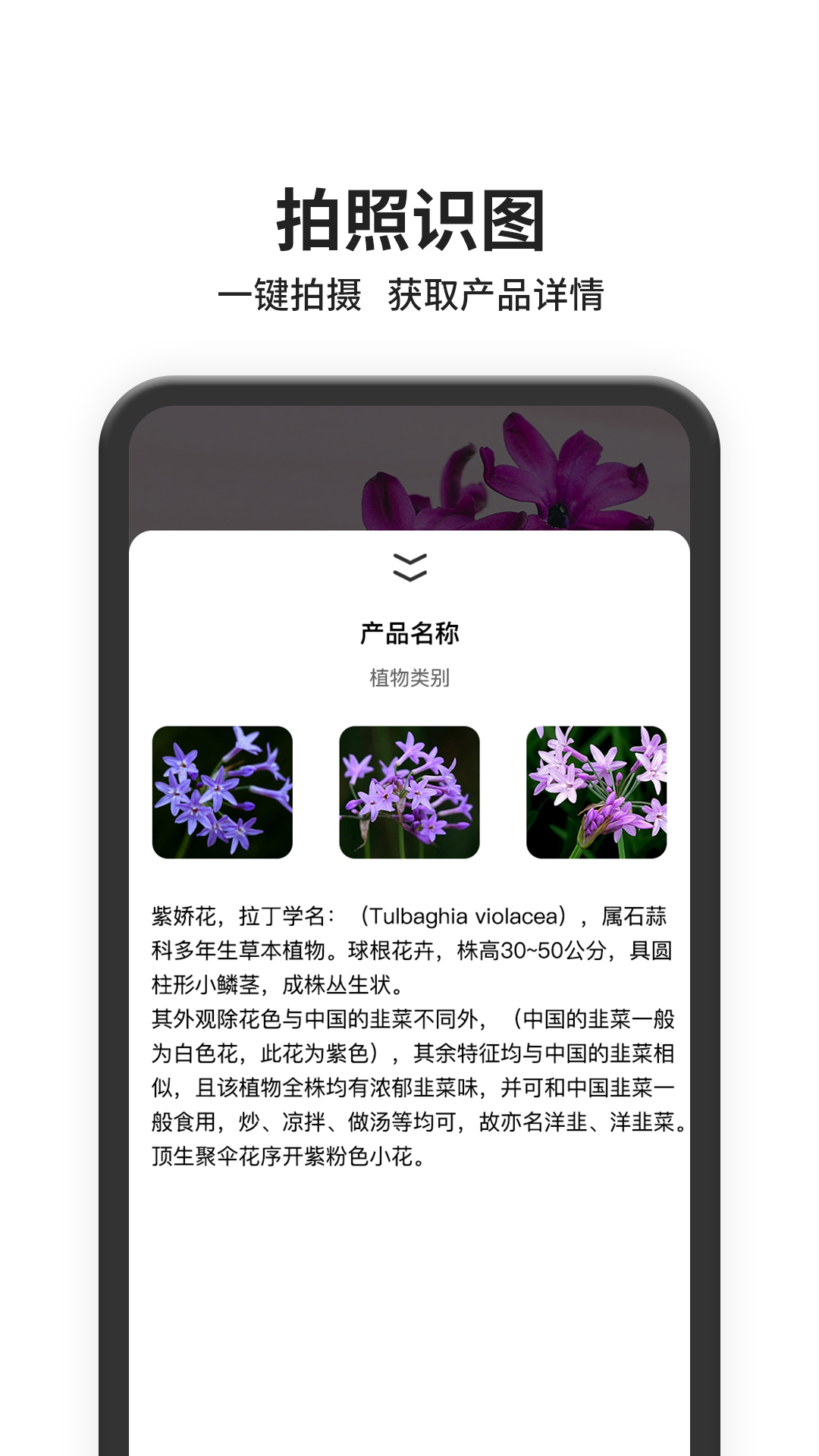 图片搜索(以图搜图百度识图)